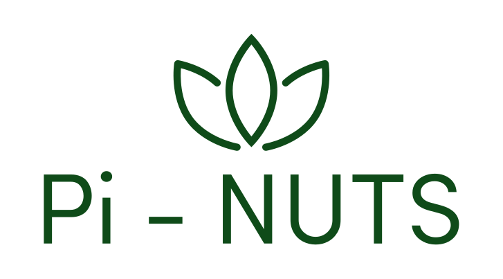 Pi-nuts Sp. z o.o.