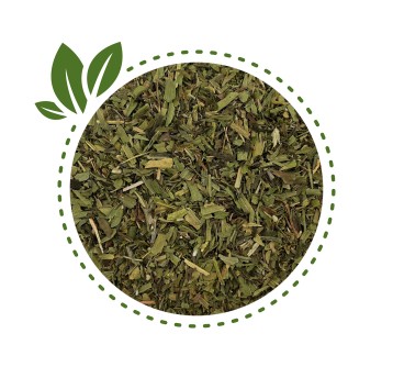 Estragon 100g