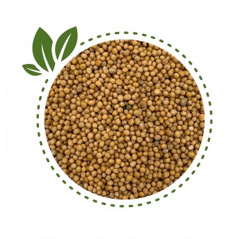 Gorczyca ziarno 250g