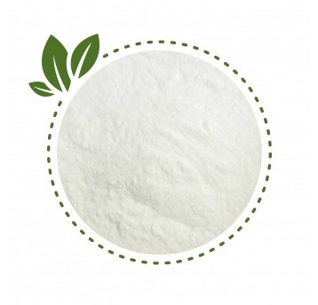 Inulina z cykorii 500g