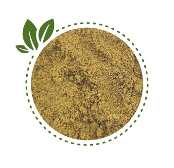 Kmin rzymski mielony 500g
