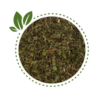 Mięta Spearmint 100g