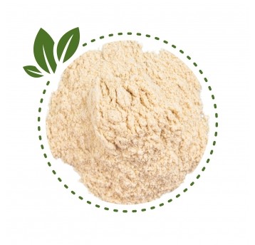 Pektyna amidowana (odwracalna, NH) do sorbetów 50g